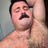 thegreekbearandredcub